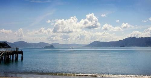Beachfront Wellington Bed And Breakfast Buitenkant foto