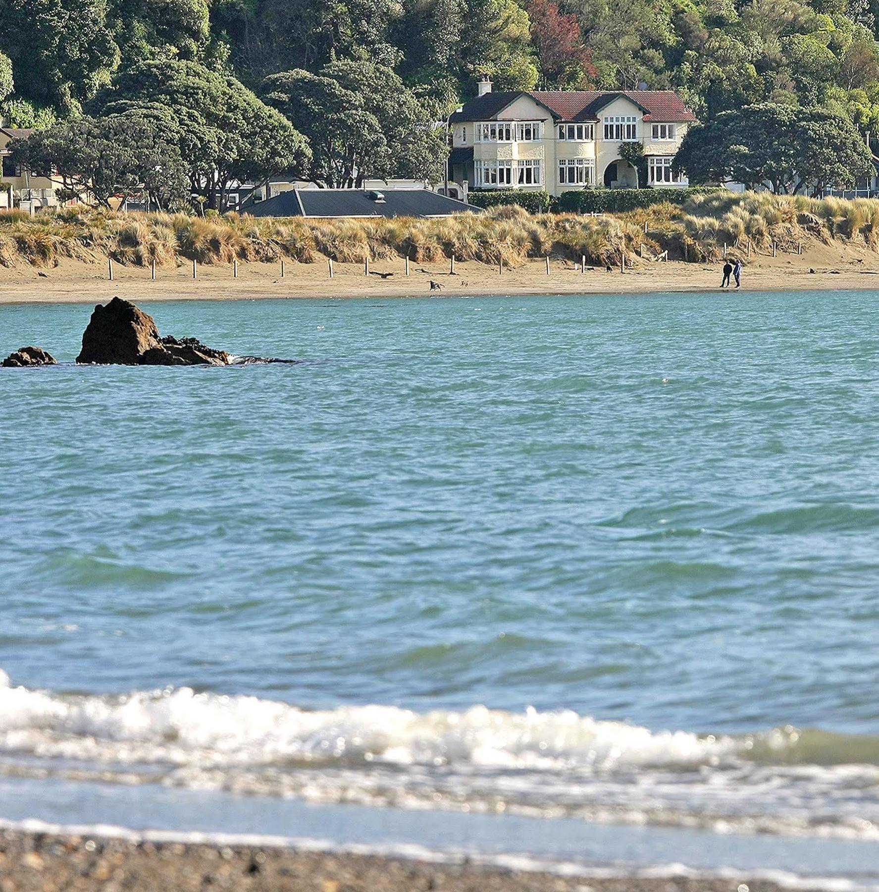 Beachfront Wellington Bed And Breakfast Buitenkant foto