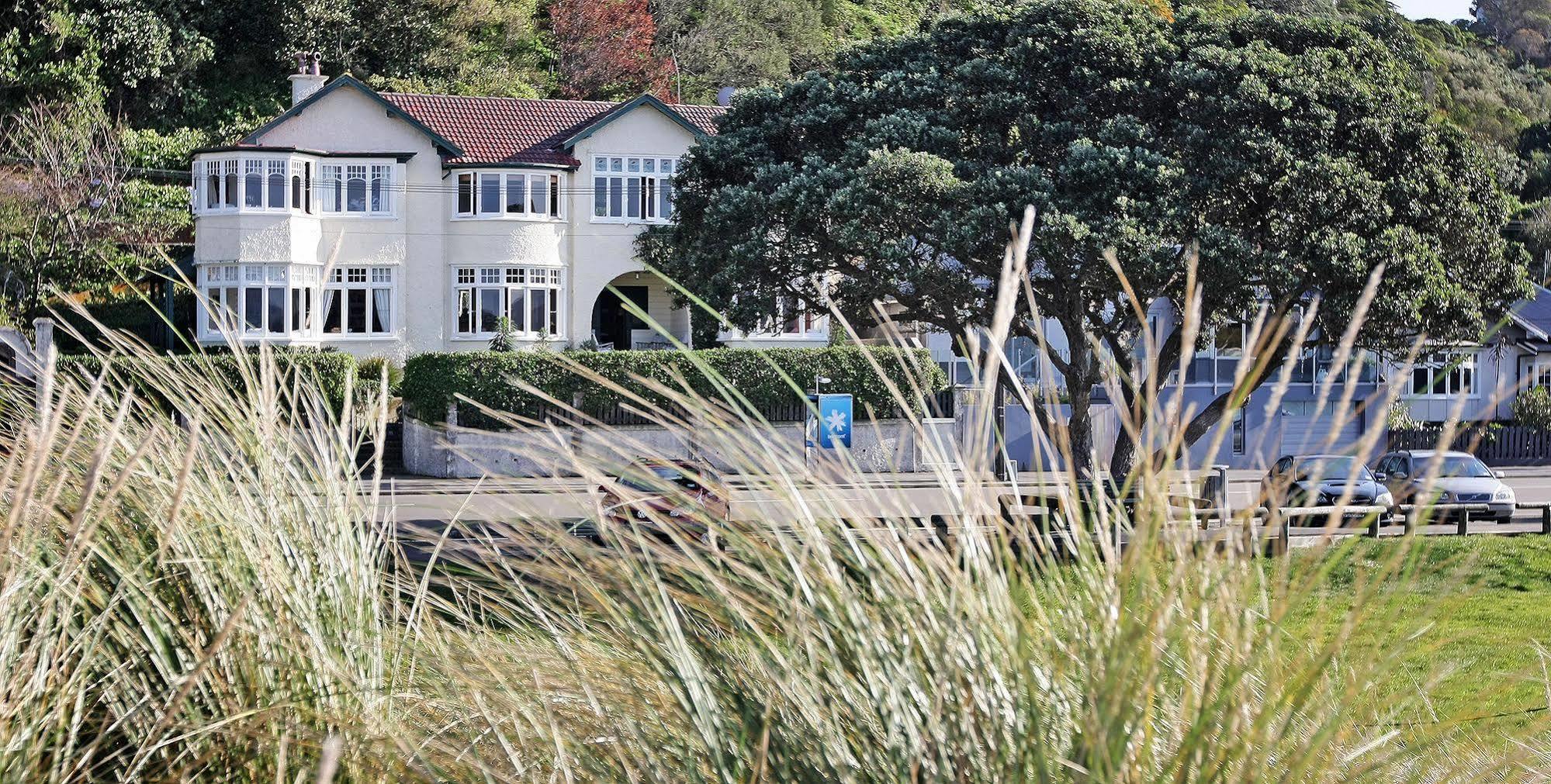 Beachfront Wellington Bed And Breakfast Buitenkant foto